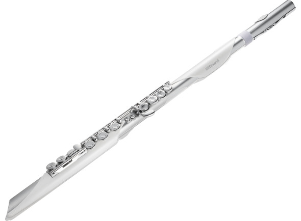 Roland Aerophone Instruments à vent numériques Roland AE-BRISA Aerophone Flûte traversière numérique NEW!