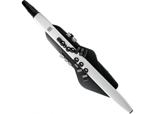 Roland Aerophone Instrumento digital de sopro / Controlador Midi/Instruments à vent numériques Instrument à vent numérique Roland Aerophone AE-20 avec doigté configurable 