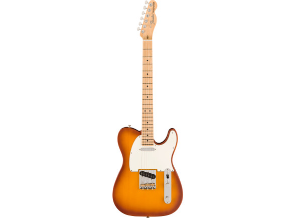 Fender American Performer Guitarra Elétrica formato T/Guitarras formato T Fender  American Performer Telecaster Maple Fingerboard Honey Burst