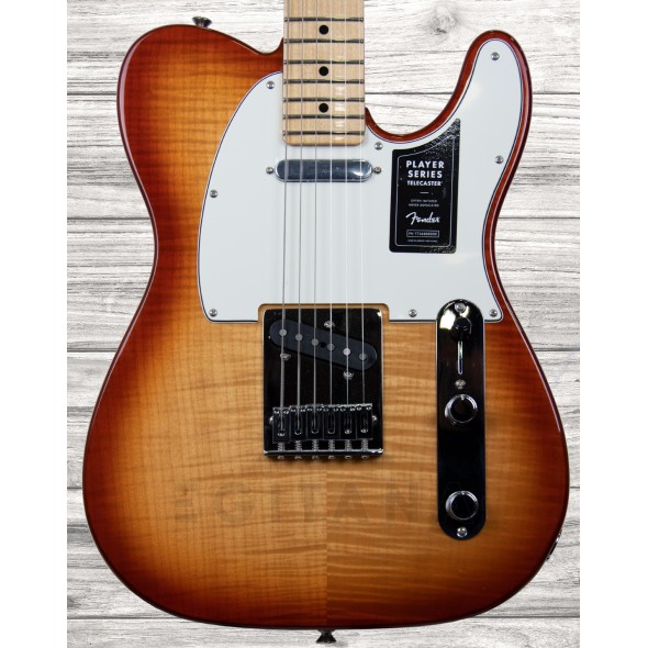 Guitarras Fender Player Plus Guitarras formato T Fender Limited Edition Player Telecaster Plus Top Sienna Sunburst Guitarras Fender Player Plus Guitarras formato T Fender Limited Edition Player Telecaster Plus Top Sienna Sunburst
