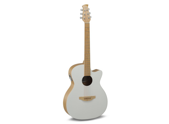 Guitarra Acústica/Guitare acoustique Gewa Applause Guitare électro-acoustique Jump Blank Canvas
