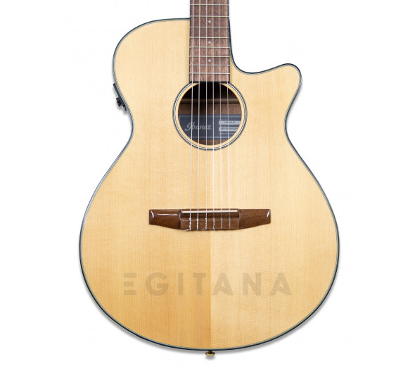 GUITARRA CLASICA ELECTRIFICADA guitarras electricas clasicas Ibanez AEG50N-NT Nylon