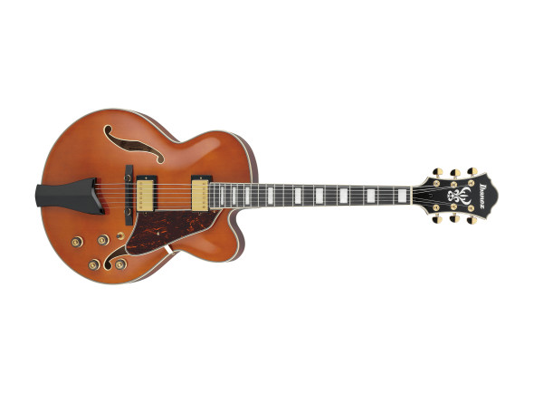 Guitarras con forma de cuerpo hueco Ibanez  AF95 Dark Ambar
