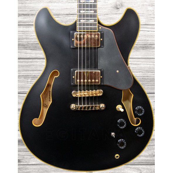 Guitarras formato Hollowbody Ibanez JSM-20 Black Low Gloss B-Stock Guitarras formato Hollowbody Ibanez JSM-20 Black Low Gloss B-Stock