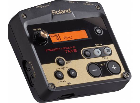 Trigers para bateria eletrónica Roland TM-2 Trigger Module
Roland TM2 Trigger Module
Trigers para bateria eletrónica Roland TM-2 Trigger Module
Roland TM2 Trigger Module
