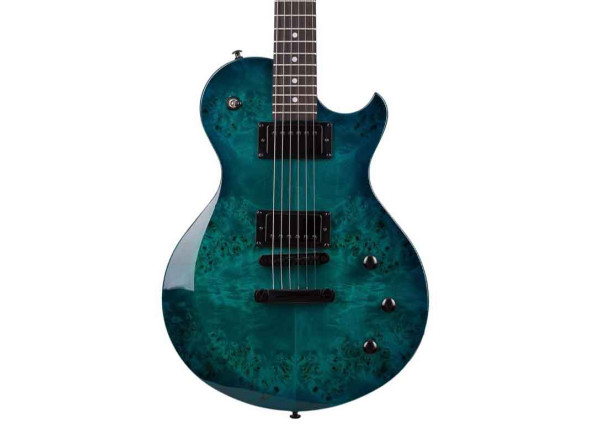  Guitarra elétrica/Guitarras de formato single cut Schecter 