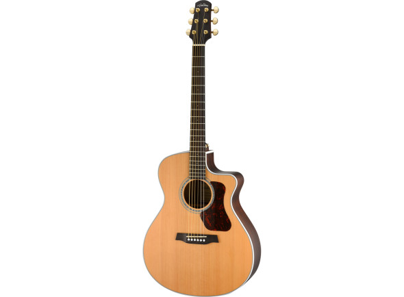 Guitarra Acústica Walden  G633CEW