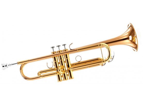Trompete Yamaha YTR 5335 G
Trompete Yamaha YTR 5335 G
- Dourado
- Peso médio
- Baseada na YTR-6335 mas com campânula de 2 peças em Gold Brass 123mm
- Calibre ML 11.65mm
- Gancho polegar na bomba de afinação do 1º pistão
Trompete Yamaha YTR 5335 G
Trompete Yamaha YTR 5335 G
- Dourado
- Peso médio
- Baseada na YTR-6335 mas com campânula de 2 peças em Gold Brass 123mm
- Calibre ML 11.65mm
- Gancho polegar na bomba de afinação do 1º pistão