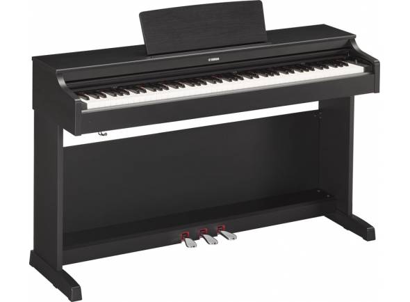 Yamaha Arius YDP-163B
A escolha de excelência tanto para o estudante em desenvolvimento como para o pianista com mais experiência.
Teclado Graded Hammer 3 (GH3) com teclas com acabamento em marfim sintético
10 sons
Polifonia a 192 notas (máximo)
Yamaha Arius YDP-163B
A escolha de excelência tanto para o estudante em desenvolvimento como para o pianista com mais experiência.
Teclado Graded Hammer 3 (GH3) com teclas com acabamento em marfim sintético
10 sons
Polifonia a 192 notas (máximo)