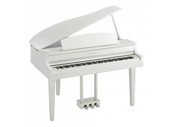 Yamaha CLP-665 GP WH
Polifonia de 256 notas
36 vozes
GH3X (Graded Hammer 3X) com teclados
Yamaha CLP-665 GP WH
Polifonia de 256 notas
36 vozes
GH3X (Graded Hammer 3X) com teclados