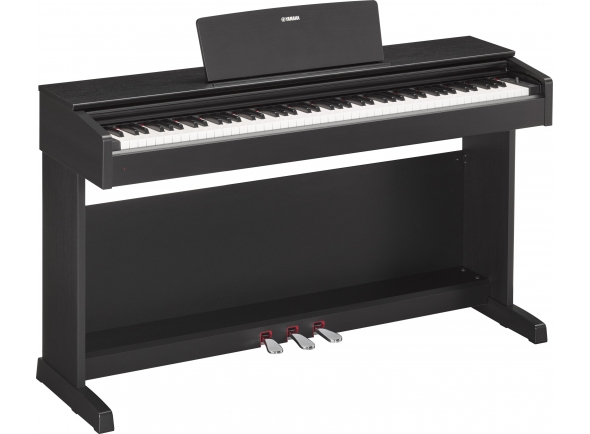 Yamaha YDP-143B Preto
Yamaha YDP-143B - Um grande instrumento tanto para o iniciante como para o pianista em formação.
Teclado de acção de martelo graduado Standard (GHS) com teclas em acabamento mate preto
10 sons
Polifonia a 192 notas (máximo)
Yamaha YDP-143B Preto
Yamaha YDP-143B - Um grande instrumento tanto para o iniciante como para o pianista em formação.
Teclado de acção de martelo graduado Standard (GHS) com teclas em acabamento mate preto
10 sons
Polifonia a 192 notas (máximo)
