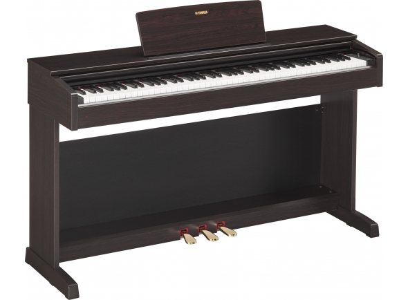 Yamaha YDP-143R Rosewood
Yamaha YDP-143R Rosewood - Um piano digital numa consola com autêntica qualidade de piano. Um grande instrumento tanto para o iniciante como para o pianista em formação.
Yamaha YDP-143R Rosewood
Yamaha YDP-143R Rosewood - Um piano digital numa consola com autêntica qualidade de piano. Um grande instrumento tanto para o iniciante como para o pianista em formação.
